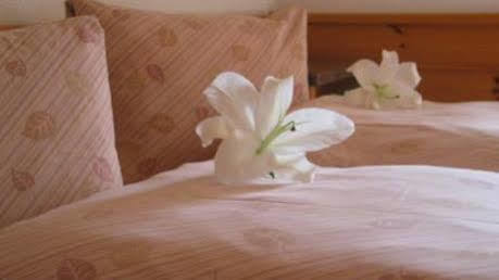 Hotel National Frutigen Kültér fotó